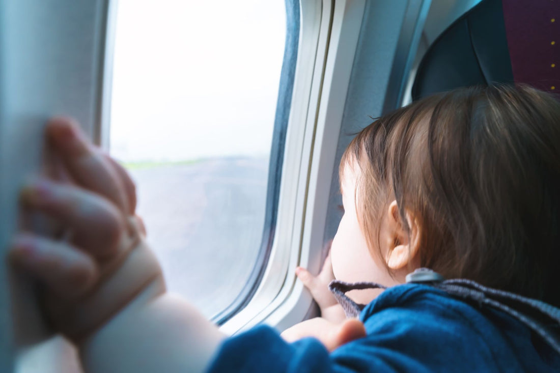 Lessons Learned from Our Turbulent Flight with a Toddler: Tips for Stress-Free Travelling
