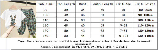 Apparel - Kids' 2-Piece T-Shirt And Pants Summer Set - Rabbit