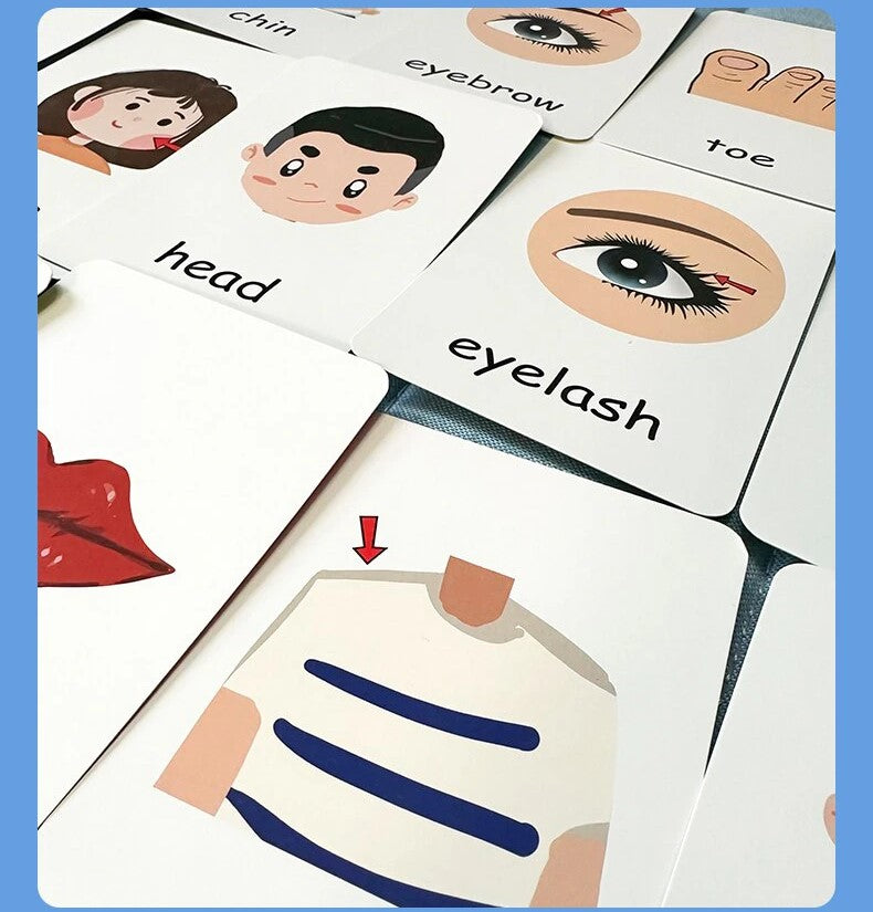 Body Parts Recognition Card Game (2+ years)-Little Travellers