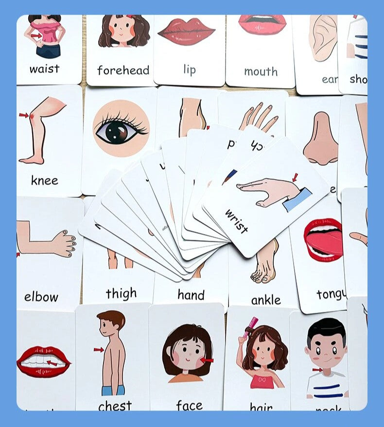 Body Parts Recognition Card Game (2+ years)-Little Travellers