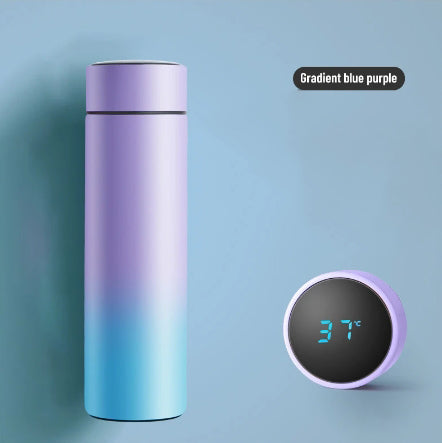 500 ml Insulated Bottle With Digital Temperature Display-Little Travellers